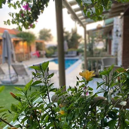 בית הארחה Suna House *
