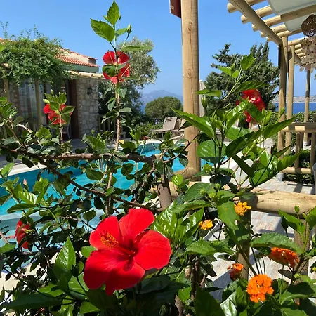 Suna House * Söğüt